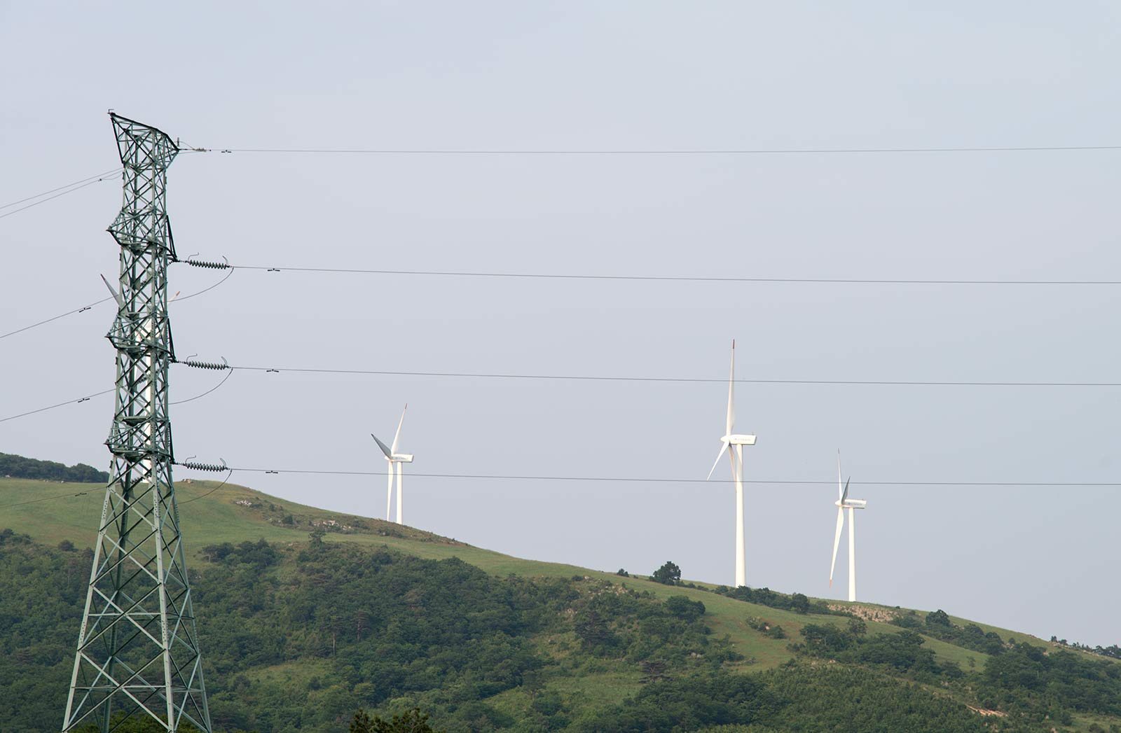 電力與新能源