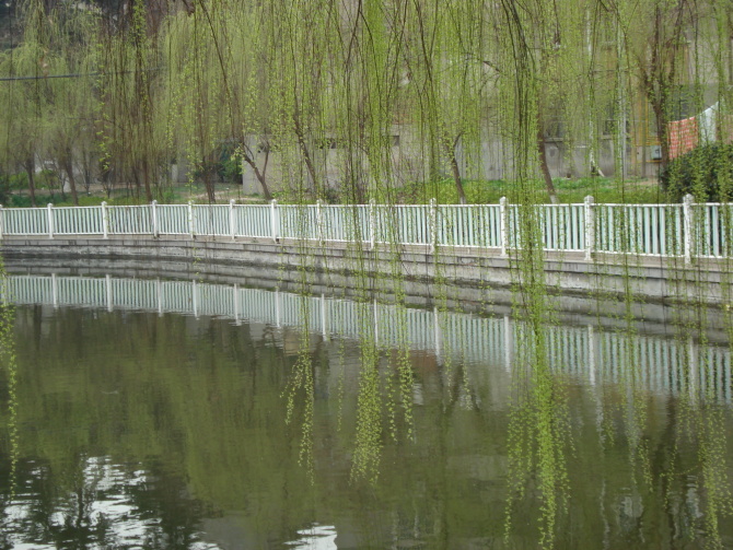 河道護欄